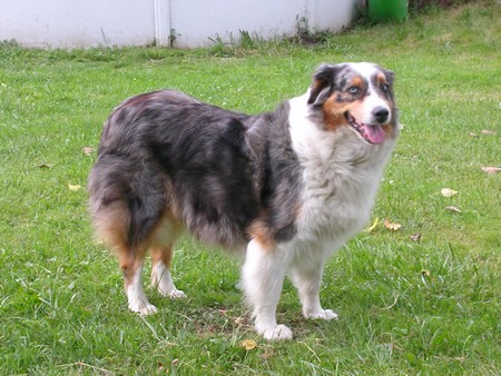 T.bones (Sans Affixe)